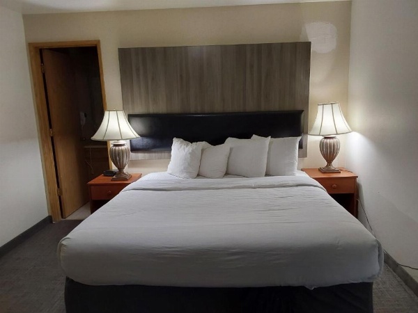 拉维什酒店套房 image 22