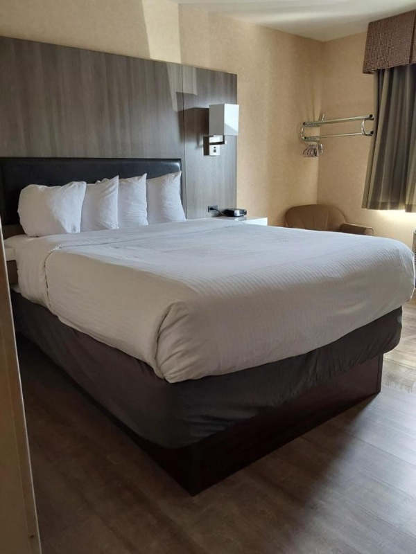 拉维什酒店套房 image 31