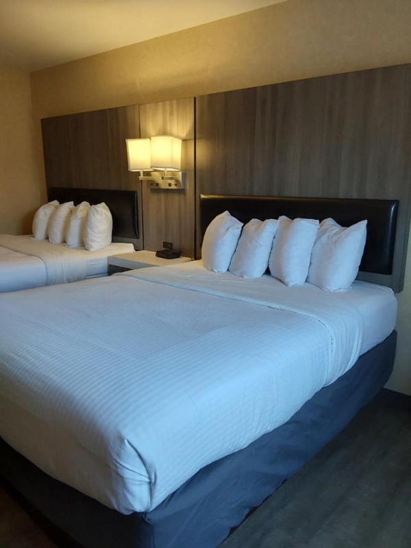 拉维什酒店套房 image 37