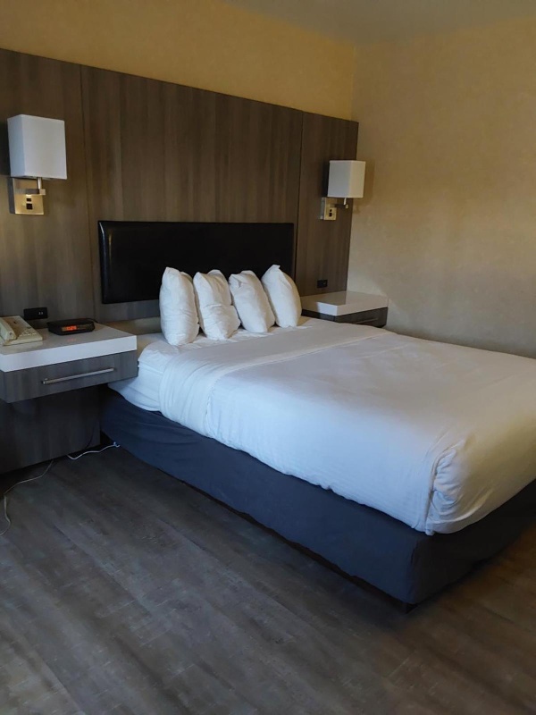 拉维什酒店套房 image 4